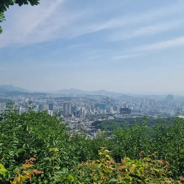 [BUNJANG] Road Bicycle / 로드 자전거 구매합니다.