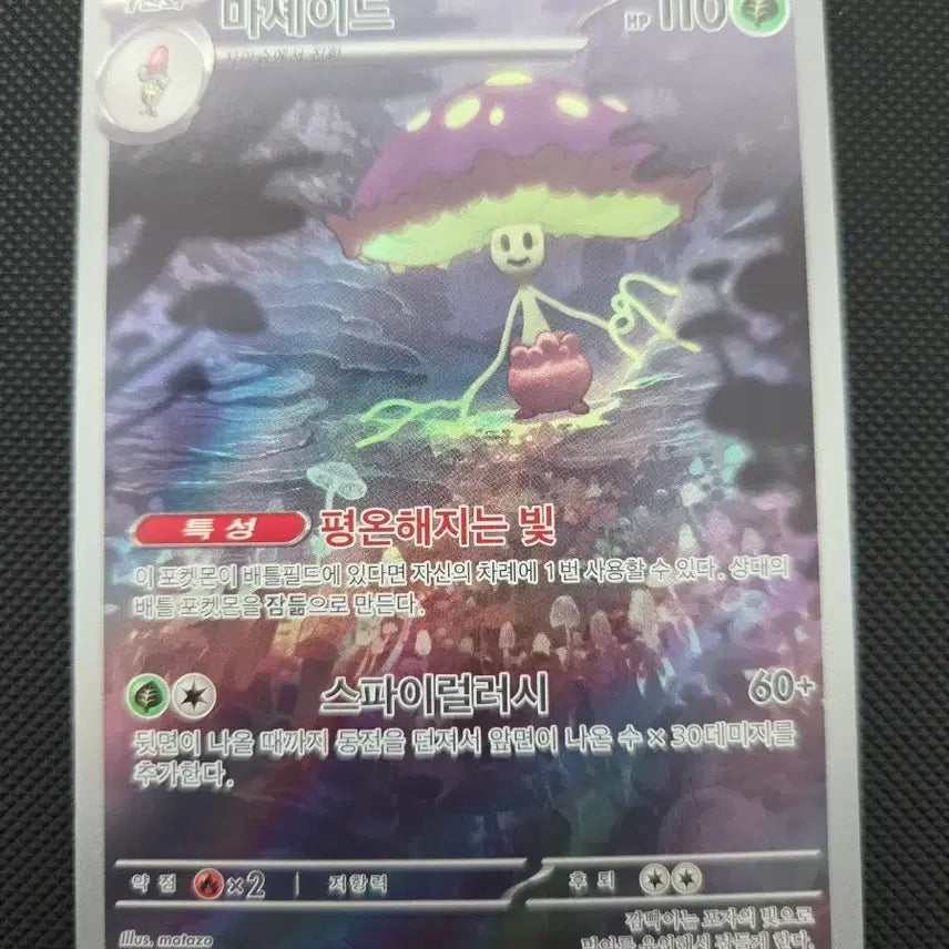 [BUNJANG] Pokemon Card Mashery AR / 포켓몬 카드 마셰이드 AR