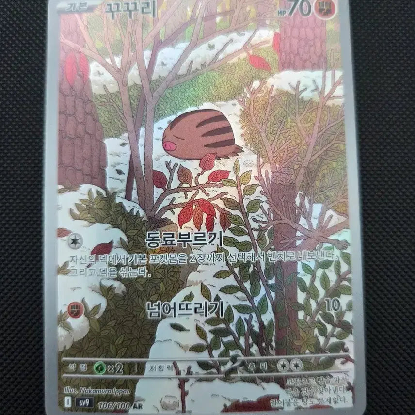 [BUNJANG] Pokemon Card Kukui AR / 포켓몬 카드 꾸꾸리 AR