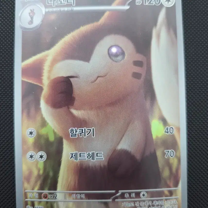 [BUNJANG] Pokemon Card Furret AR / 포켓몬 카드 다꼬리 AR