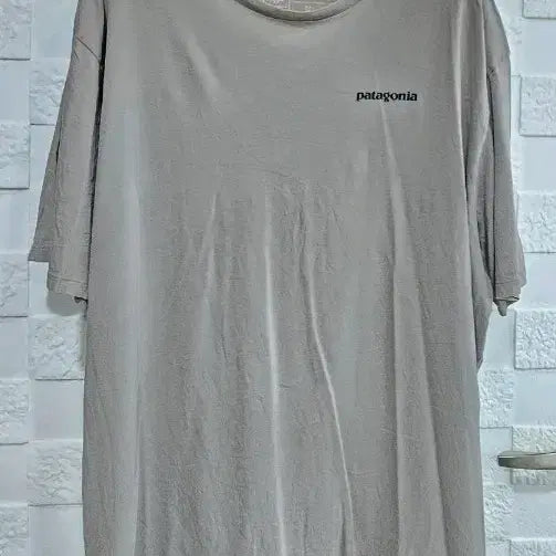[BUNJANG] Patagonia Short Sleeve T-Shirt XL / (P)파타고니아 반팔 티셔츠 XL
