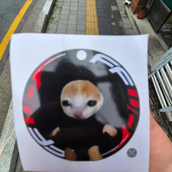 [BUNJANG] Pepo Cat Sticker / 페포 고양이 스티커