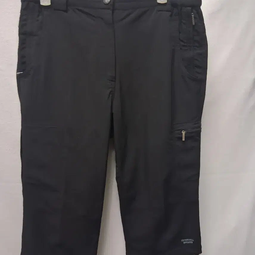 [BUNJANG] Men's Cloisonné Shorts Size 30 / 남성 칠보 반바지 30