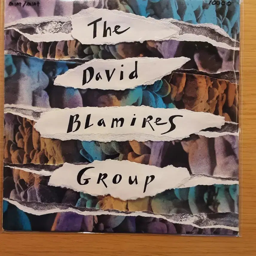[BUNJANG] David Blameus Group LP / 데이비드 블라미어스 그룹 lp
