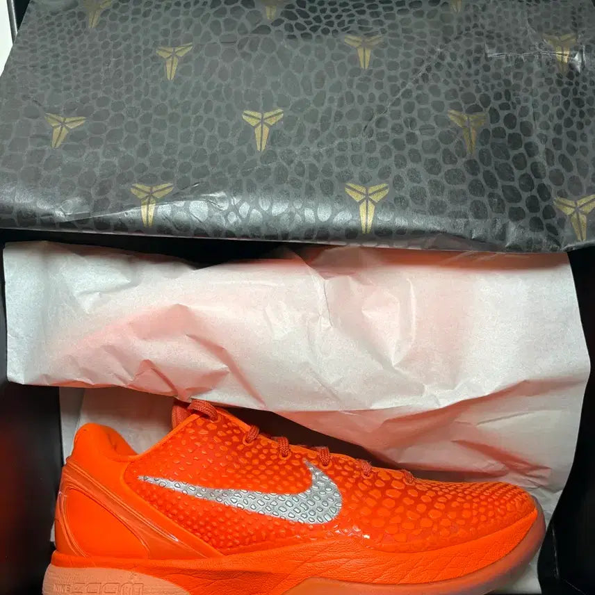 [BUNJANG] Kobe 6 Orange / 코비6 오렌지