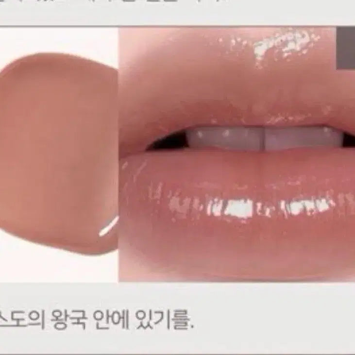 [BUNJANG] Dinto 217 Pax Romana Lipstick / [새상품] 딘토 217호 - 팍스 로마나