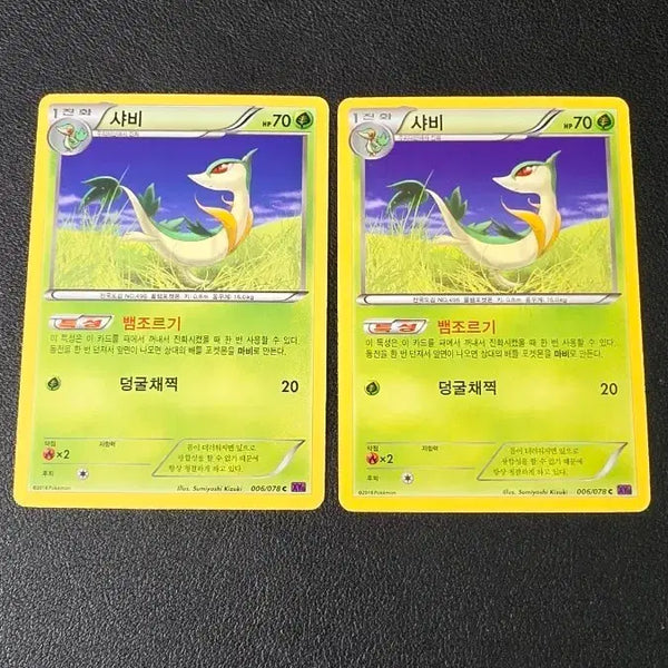 [BUNJANG] Pokemon Card Shabby XY10 006 / 포켓몬 카드 샤비 xy10 006
