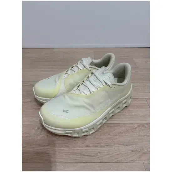 [BUNJANG] On Running x Post Archive Faction Cloudmonster 2 Seedling White / 온 러닝 X 파프 / 클라우드몬스터 2 시들링 화이트 / 265