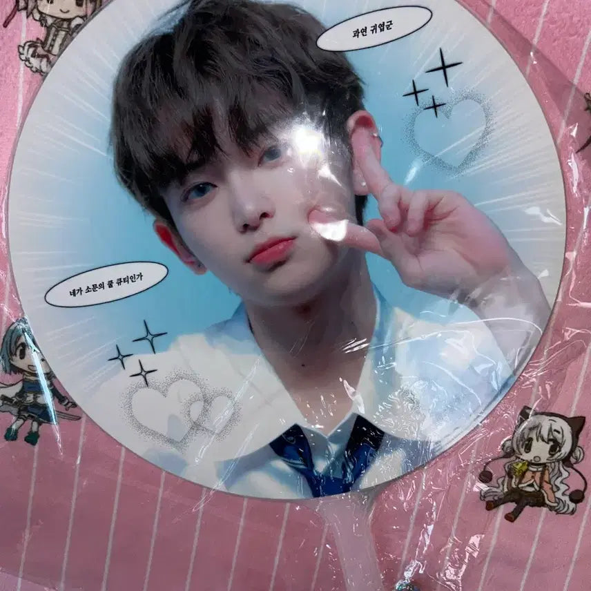 [BUNJANG] Harua &TEAM Uchiwa / 하루아 앤팀 우치와