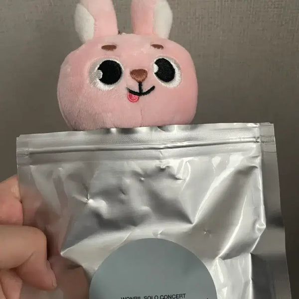 [BUNJANG] Sungjin Solo Concert MD Photocard / 원필 솔콘엠디 판매합니다!!