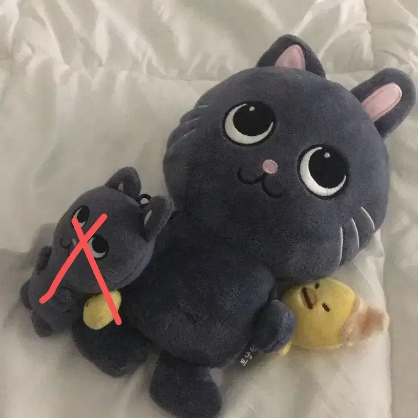 [BUNJANG] RIIZE Tongnyangdeok 20cm Plush Doll / 라이즈 토냥덕 원가이하