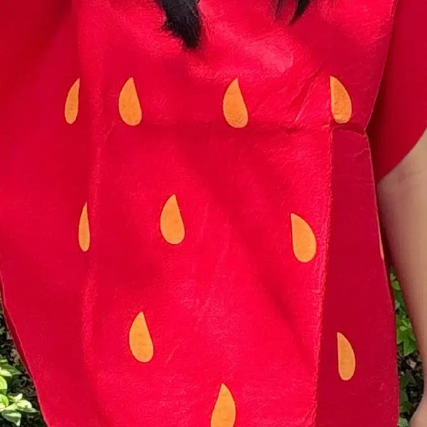 [BUNJANG] Strawberry / 딸기