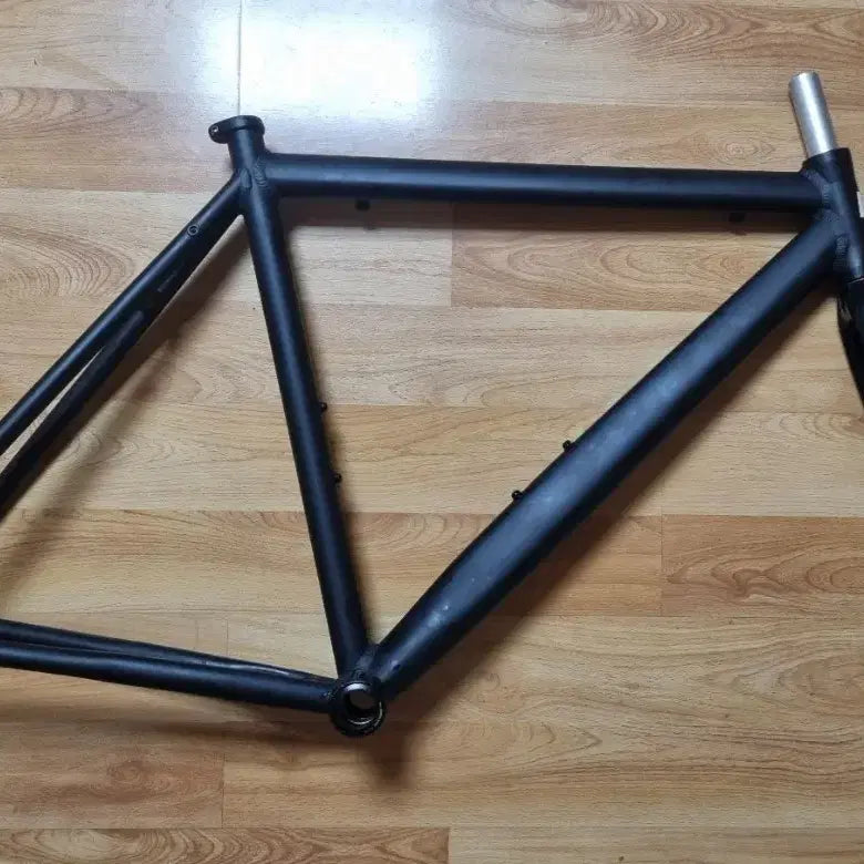 [BUNJANG] Dolan FXE Frameset - Size M / 도란 dolan fxe 픽시 프레임셋 m 급처