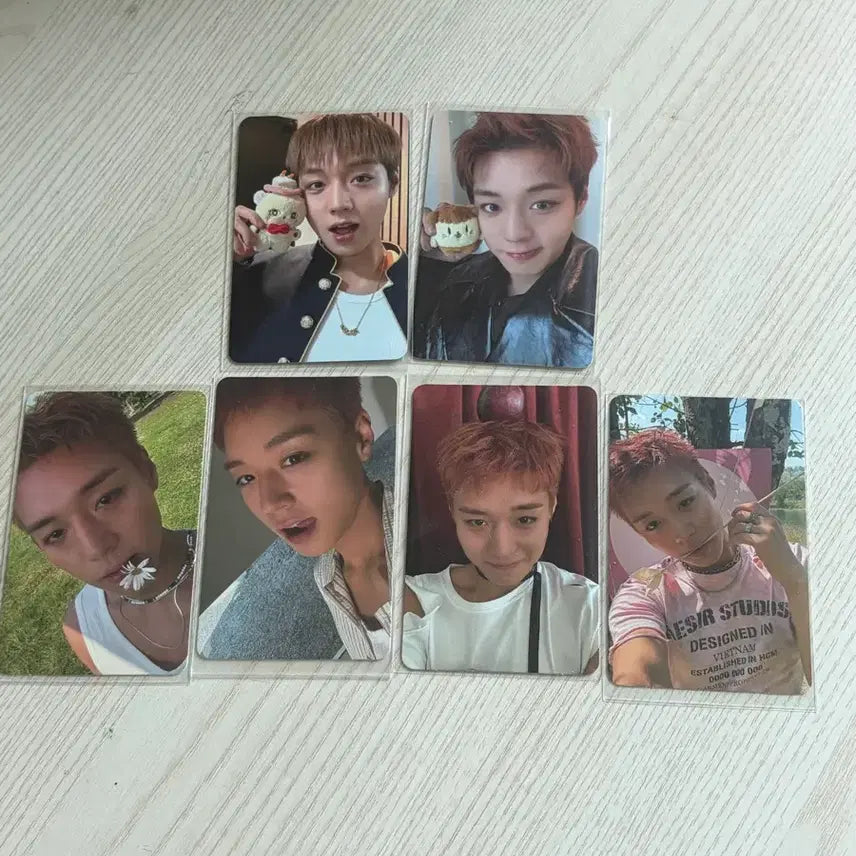 [BUNJANG] Park Ji Hoon Simsimi Ppoomi Reflect Album Photocard Bundle Set / 박지훈 소심이 뿌움이 팝업 리플랙트 포카 일괄