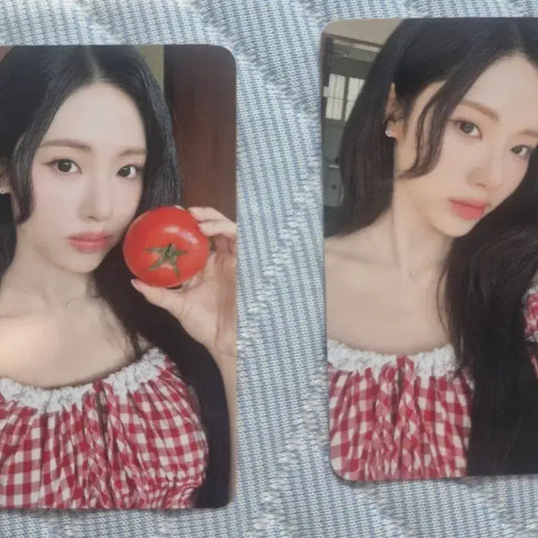 [BUNJANG] fromis_9 Jiwon 2026 Membership Photocard Set / 프로미스나인 박지원 2026 멤버십 포토카드 세트