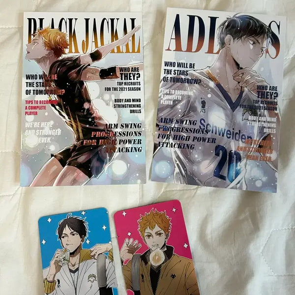 [BUNJANG] Haikyuu!! Hinata Kageyama Postcard Photocard Set / 하이큐 히나타 카게야마 엽서,포카