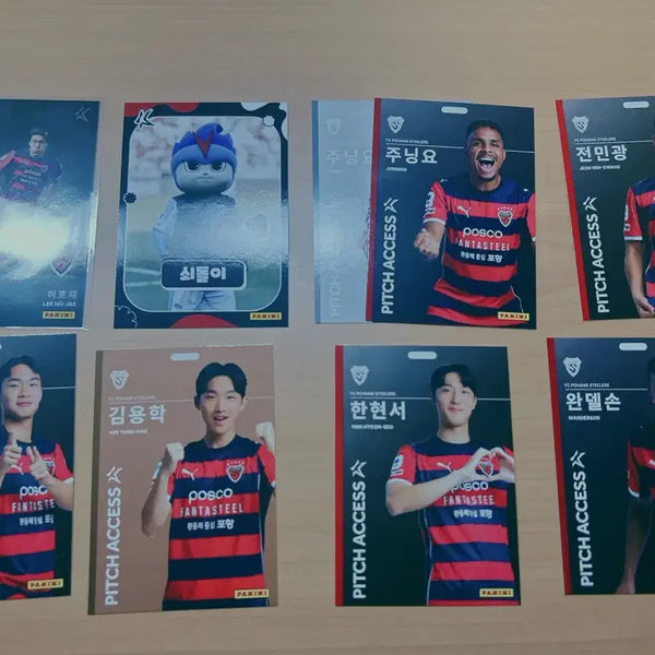 [BUNJANG] 2026 Pohang Panini Photocard / 2026포항파니니
