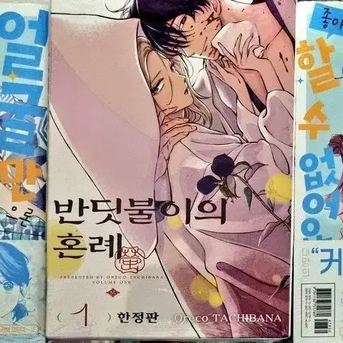 [BUNJANG] The Firefly's Wedding Vol. 1 Limited Edition / 반딧불이의 혼례 1 한정판 얼굴만으론 좋아 할 수 없어요 5 초판