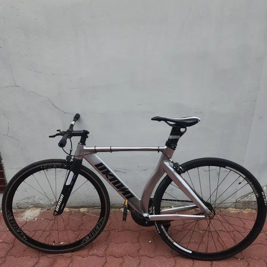[BUNJANG] Unknown (언노운) Level 3 "Eungalchi" (Silverfish) Fixie Bicycle / 언노운 렙3 은갈치