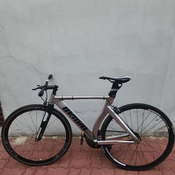 [BUNJANG] Unknown (언노운) Level 3 "Eungalchi" (Silverfish) Fixie Bicycle / 언노운 렙3 은갈치