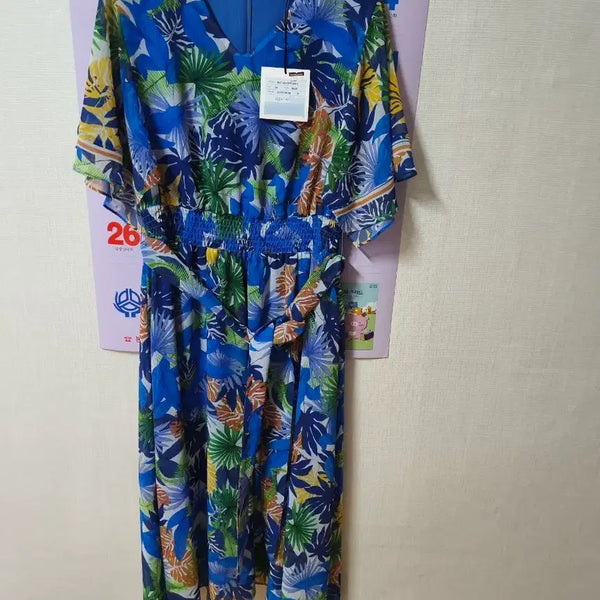 [BUNJANG] Aizbaba Chiffon Long Dress / 1시간착용)아이잗바바쉬폰원피스