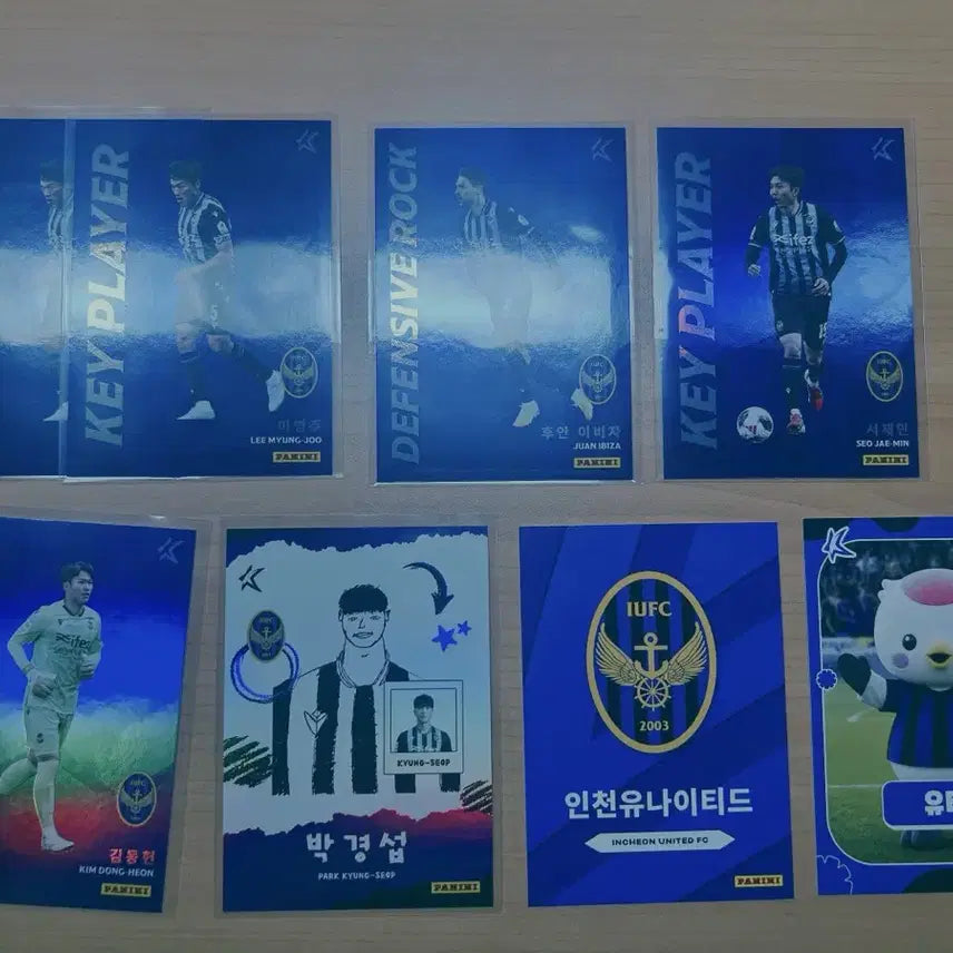 [BUNJANG] Panini 2026 Incheon Photocard / 2026인천파니니