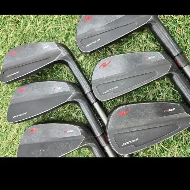 [BUNJANG] Zestaim FL302 NS950 R 6-Iron Set / 제스타임 fl302 ns950 r 6아이언 세트