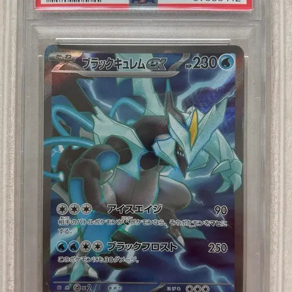 [BUNJANG] Pokemon Black Kyurem PSA 10 Graded Card (Japanese) / 포켓몬 블랙큐레무 PSA10(일어판)