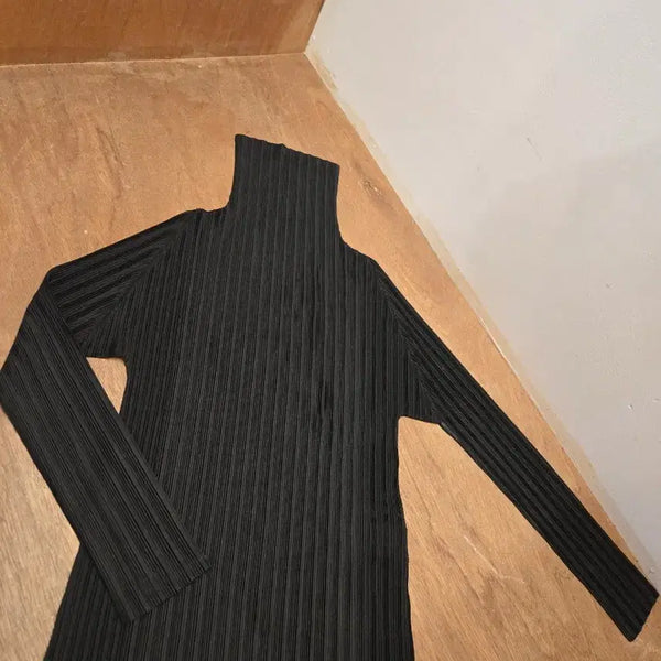 [BUNJANG] Pleats Please 23FW Turtleneck Black / 플리츠플리즈 23년백화점터들넥