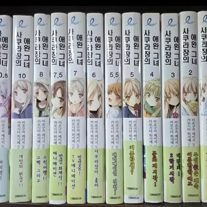[BUNJANG] The Pet Girl of Sakurasou Limited Edition Light Novel / 라이트노벨 사쿠라장의 애완그녀 초판