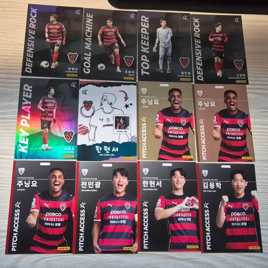 [BUNJANG] Pohang Steelers K League Panini Soccer Card / 포항스틸러스 k리그 파니니 축구카드 교환&양도