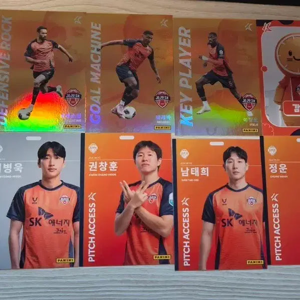 [BUNJANG] Jeju SK FC K League Panini Soccer Card / 제주SK FC k리그 파니니 축구카드 교환&양도
