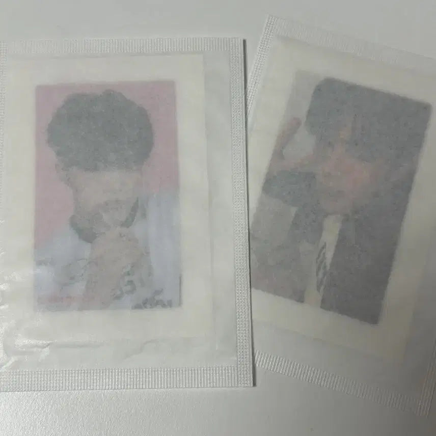 [BUNJANG] Colorgram Park Gunwook ZB1 Ddakji Sticker Set / 컬러그램 박건욱 띠부씰 스티커 2장 zb1 제배원