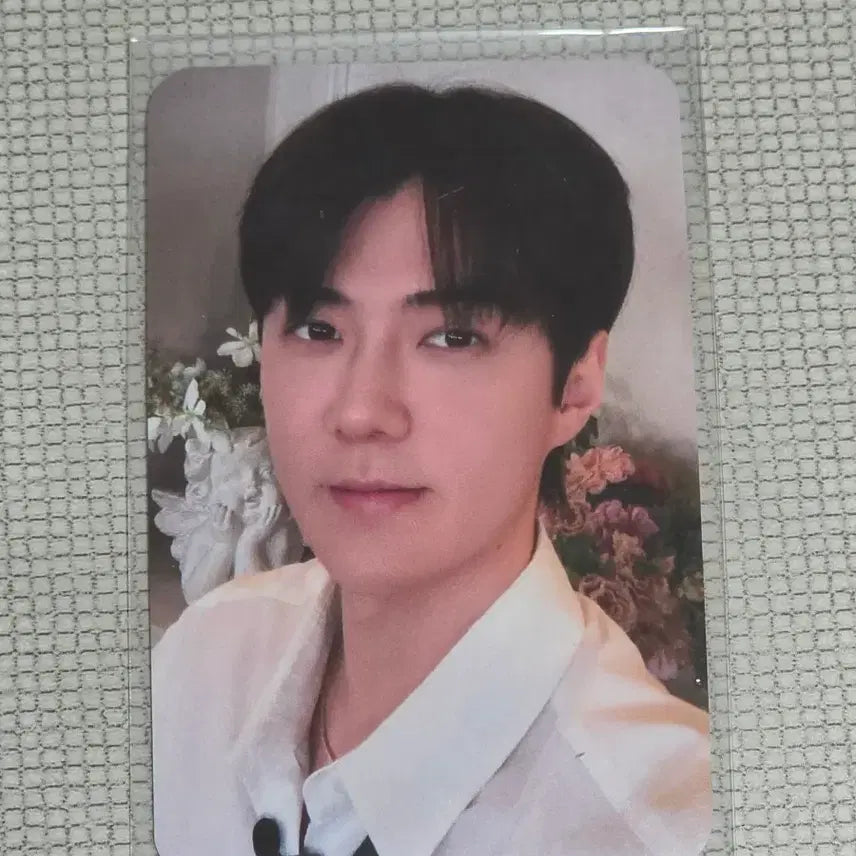 [BUNJANG] EXO Sehun Xiaomang Fan Sign POB Photocard / 엑소 세훈 샤오망 팬싸 특전 포카 미공포