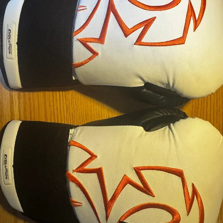[BUNJANG] Rival RB11 Boxing Gloves L Size (14oz) / RIVAL RB11 복싱 글러브 L사이즈 팝니다