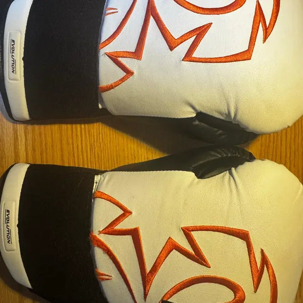 [BUNJANG] Rival RB11 Boxing Gloves L Size (14oz) / RIVAL RB11 복싱 글러브 L사이즈 팝니다
