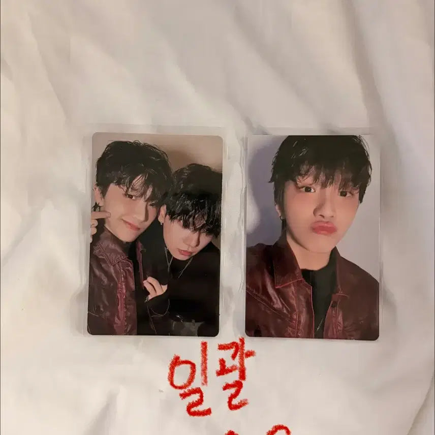 [BUNJANG] BOYNEXTDOOR No.1 Natural Yunhak Photocard / 보이넥스트도어 노장르 운학 포카