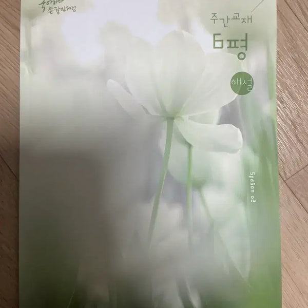 [BUNJANG] Son Chang-bin Korean Language 6th Month Assessment Analysis Book / 시대인재 손창빈 국어 6평분석서