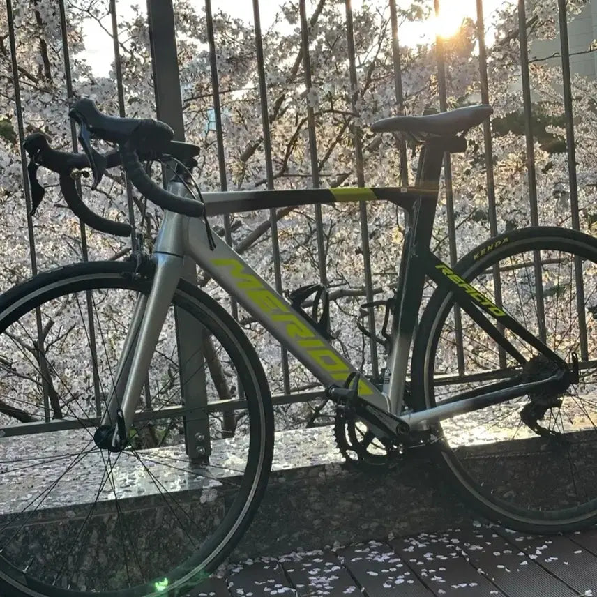 [BUNJANG] Merida Reacto 400 Road Bicycle / 메리다 리액토 400 무하자 급처