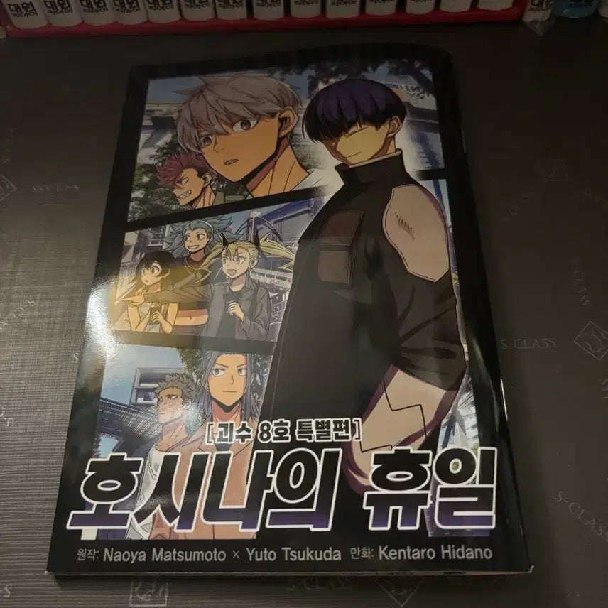 [BUNJANG] Hoshina's Holiday / 호시나의 휴일 단행본
