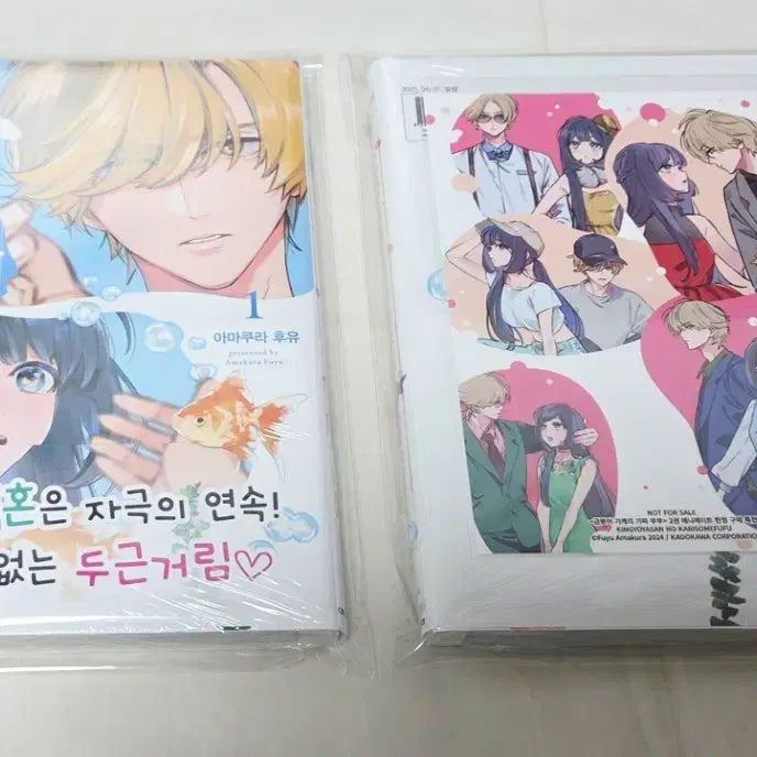 [BUNJANG] Goldfish Shop Fake Couple Vol. 1-2 (First Edition, Sealed) + Vol. 2 Animate Exclusive / 금붕어 가게의 가짜 부부 1~2권(초판,미개봉)+2권애니메이트특전