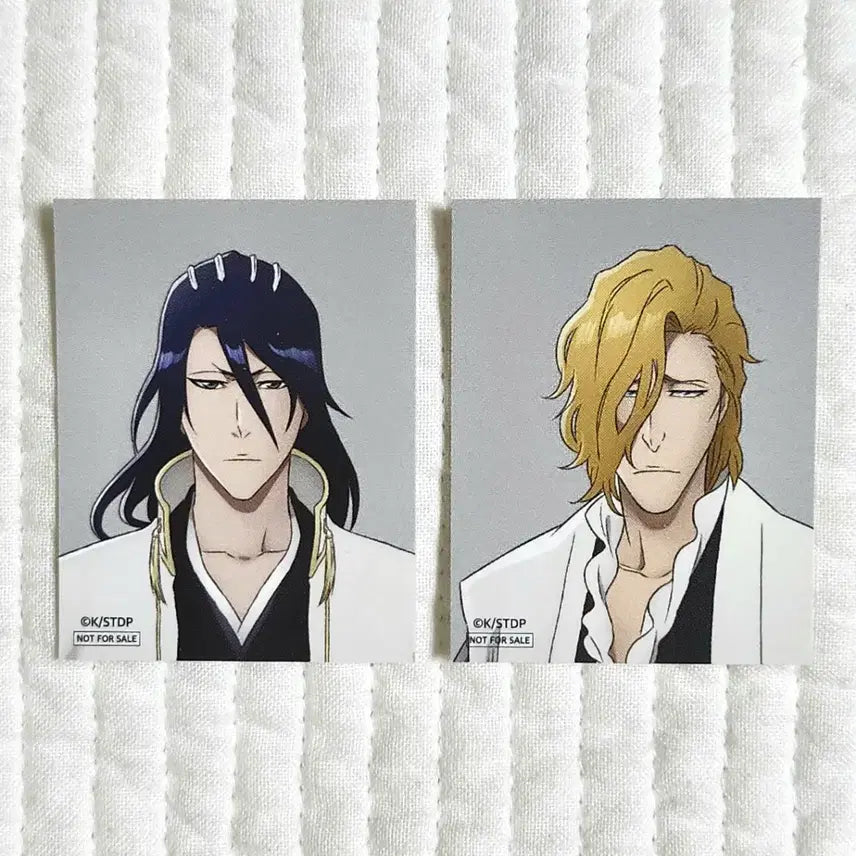 [BUNJANG] Bleach 20th Anniversary Portrait Set - Rojuro & Kuchiki Byakuya / 블리치 블리치전 20주년 증명사진 로쥬로 쿠치키 뱌쿠야 굿즈