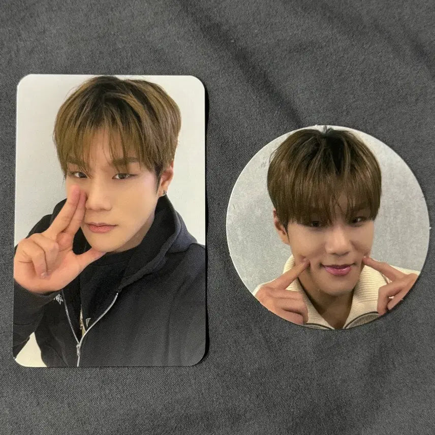 [BUNJANG] DarkBie Junseo VANGUARD Japan Concert DVD Photocard Set / 다크비 준서 VANGUARD 일본 콘서트 디비디 포카 세트 2장 일괄