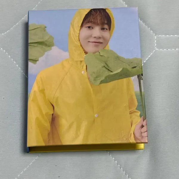 [BUNJANG] Seungkwan Photocard Holder / 부승관 카드와 콜북 판매합니다