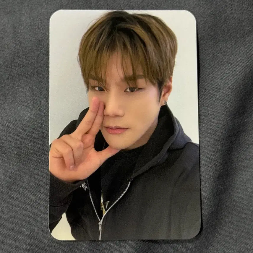 [BUNJANG] Darkbee Junseo VANGUARD Japan Concert DVD Photocard / 다크비 준서 VANGUARD 일본 콘서트 디비디 포카