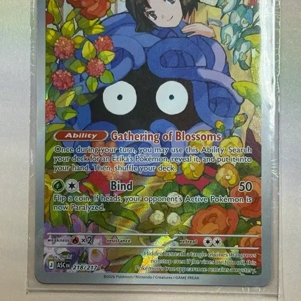 [BUNJANG] Pokemon Card Dongkuri AR / [북미] 포켓몬 카드 민화의 덩쿠리 AR