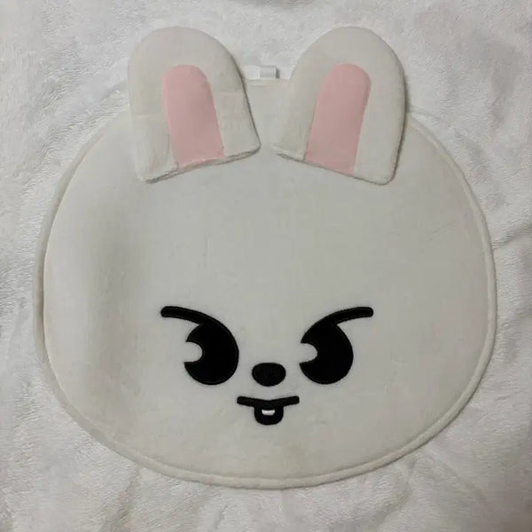 [BUNJANG] Stray Kids LeeKnow Ribbit Uchiwa / 스트레이키즈 스키즈 스키주 리빗 우치와