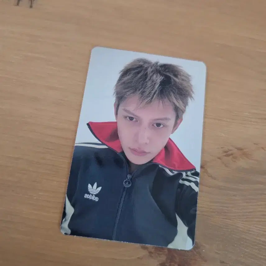 [BUNJANG] CORTIS TNT Green Green James Alford Album Photocard Red Red / 코르티스 tnt 그린그린 제임스 앨포 앨범 포카 레드레드