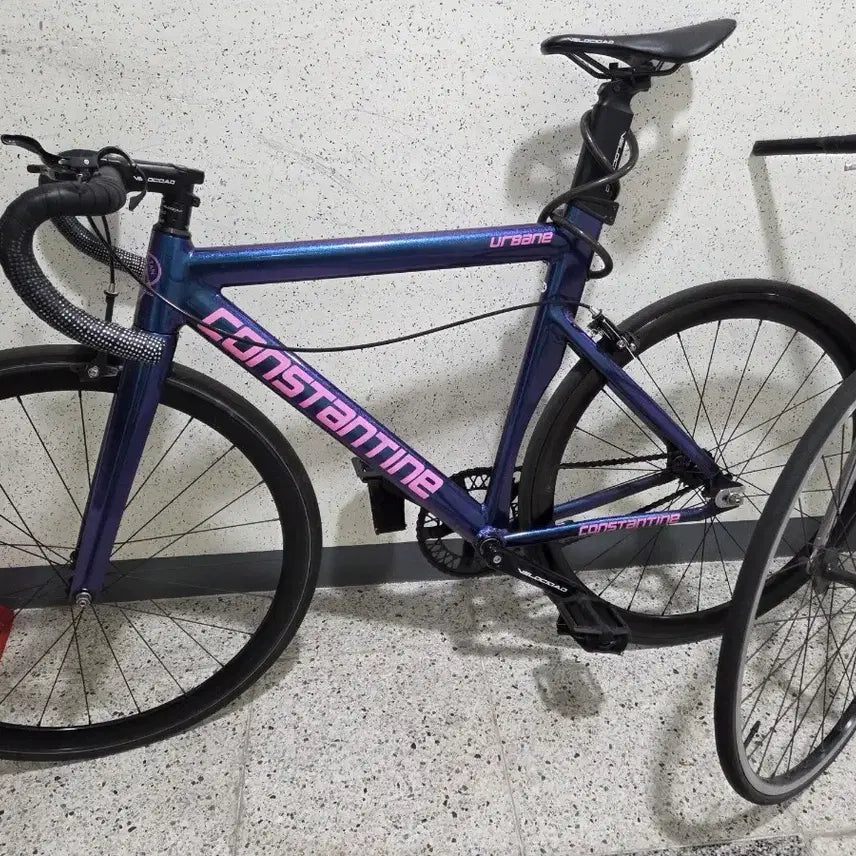 [BUNJANG] Urban 25 Chameleon Bicycle / (판/대)어베인25