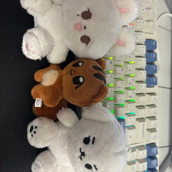 [BUNJANG] SEVENTEEN Jeonghan Mingyu Bundle Set Dolls (Jongramji, Tanramji, Jongkkomi, Mingtiiju) / 세븐틴 인형 일괄 양도 정한 민규 쫑람쥐 탄람쥐 쫑코미 밍티쥬